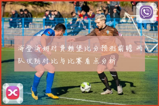 海登海姆对费赖堡比分预测前瞻 两队攻防对比与比赛看点分析
