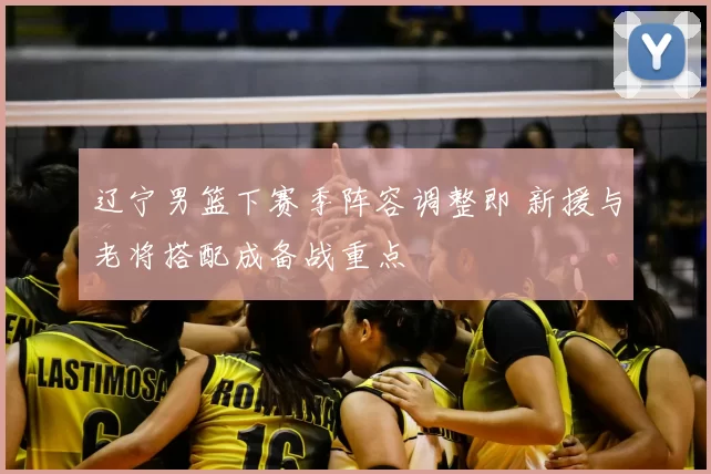 辽宁男篮下赛季阵容调整即 新援与老将搭配成备战重点
