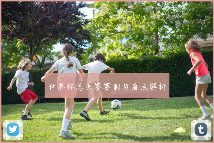 世界杯总决赛赛制与看点解析