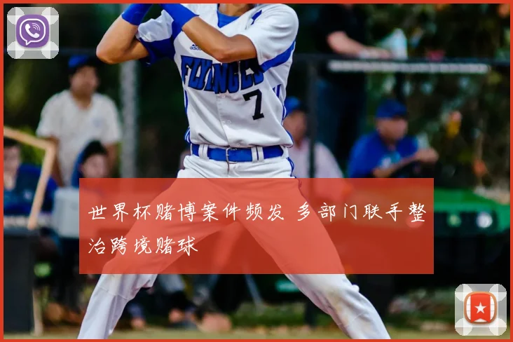 世界杯赌博案件频发 多部门联手整治跨境赌球