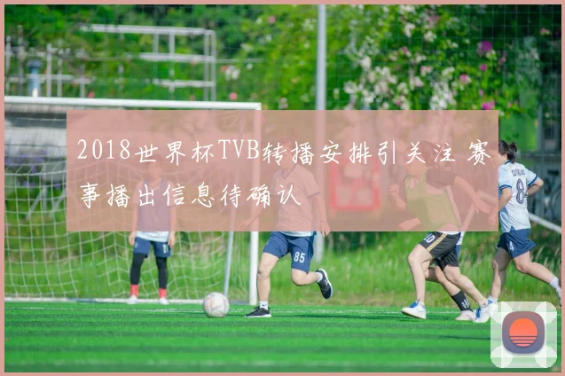 2018世界杯TVB转播安排引关注 赛事播出信息待确认