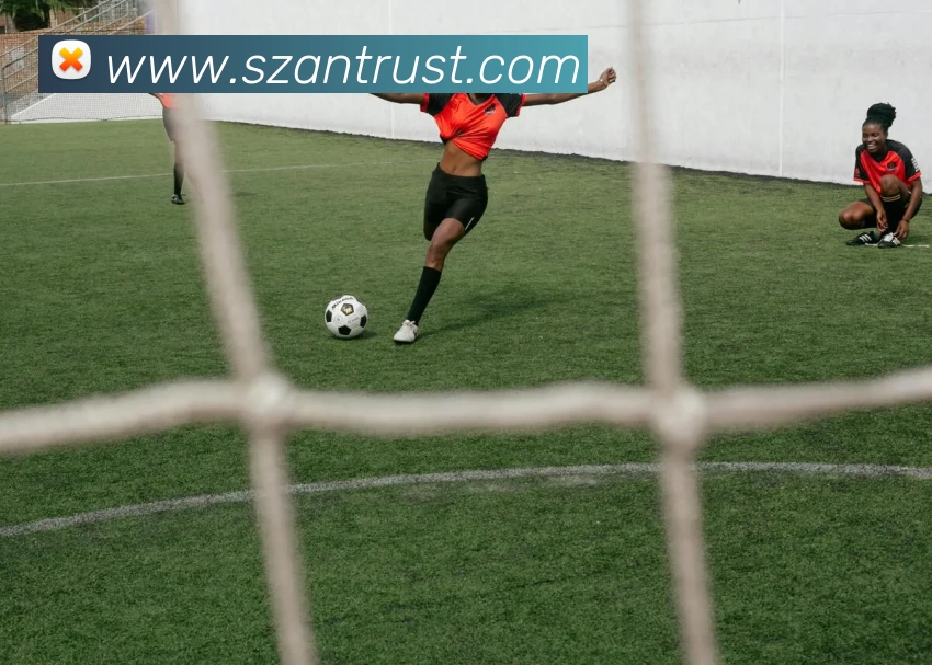 数据防护可视化